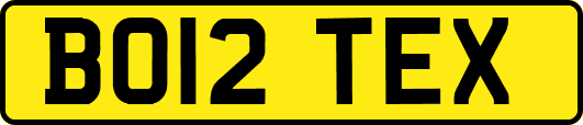 BO12TEX