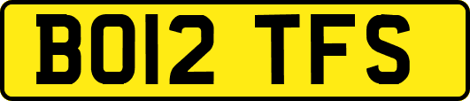 BO12TFS