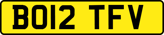BO12TFV