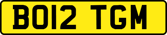 BO12TGM