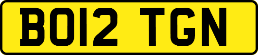BO12TGN