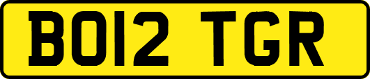 BO12TGR