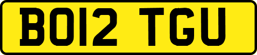 BO12TGU