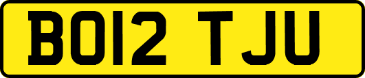 BO12TJU