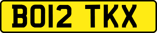 BO12TKX