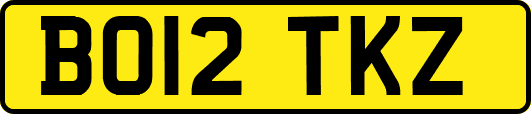BO12TKZ