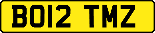 BO12TMZ