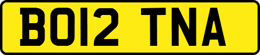 BO12TNA