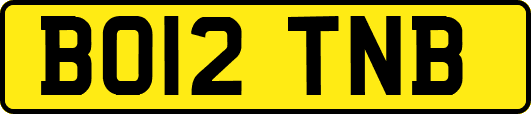 BO12TNB