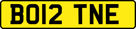 BO12TNE