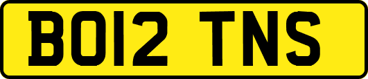 BO12TNS