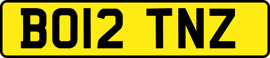 BO12TNZ