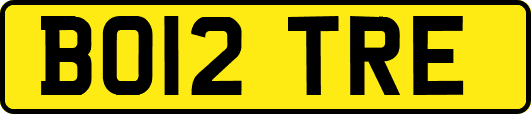 BO12TRE