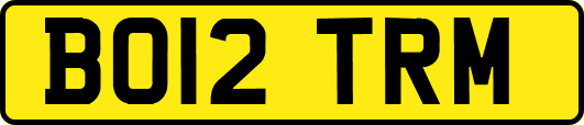BO12TRM