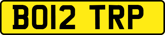 BO12TRP