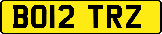 BO12TRZ