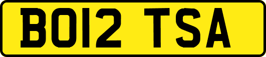 BO12TSA