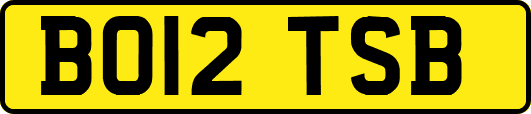 BO12TSB