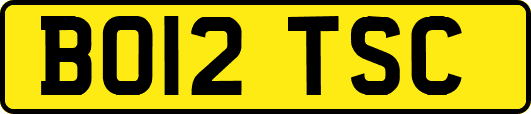 BO12TSC