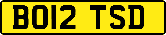 BO12TSD