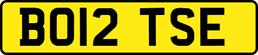BO12TSE
