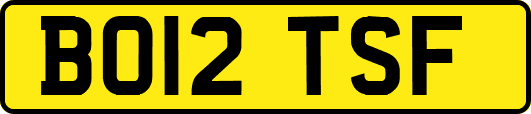 BO12TSF