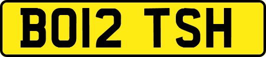 BO12TSH