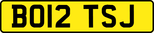 BO12TSJ