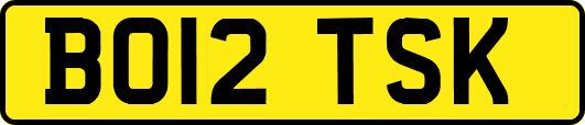 BO12TSK