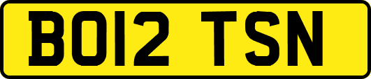 BO12TSN