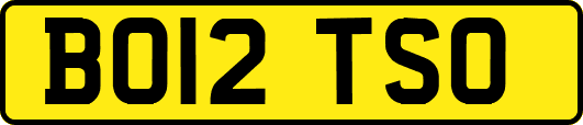 BO12TSO