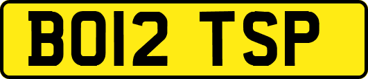 BO12TSP