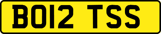 BO12TSS