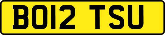 BO12TSU
