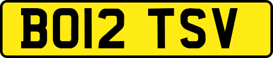 BO12TSV