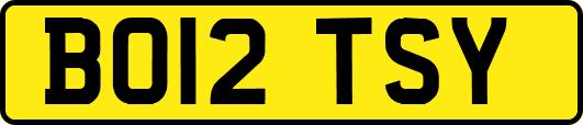 BO12TSY