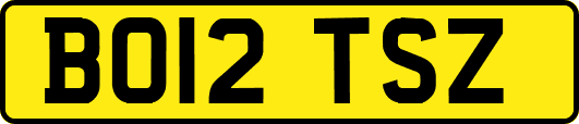 BO12TSZ