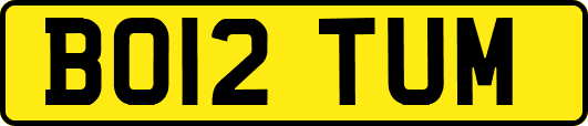 BO12TUM