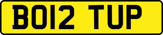 BO12TUP