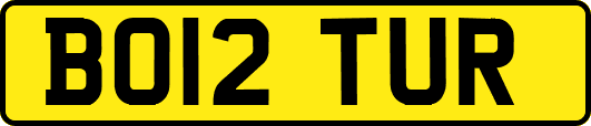 BO12TUR