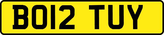 BO12TUY