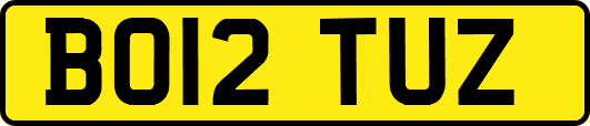 BO12TUZ