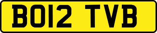 BO12TVB