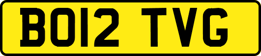 BO12TVG