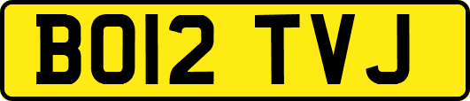 BO12TVJ
