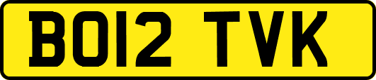 BO12TVK