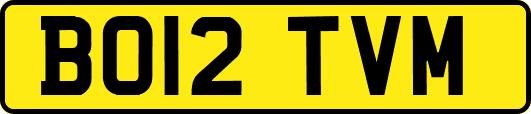 BO12TVM