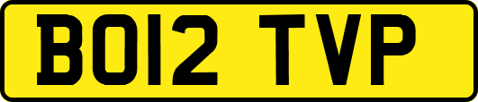 BO12TVP