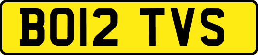 BO12TVS
