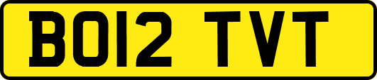 BO12TVT